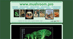 Desktop Screenshot of mushroom.pro